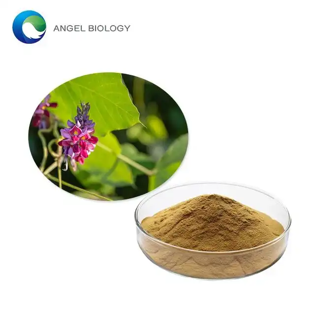 What Active Compounds Are in Kudzu Flower Extract Powder?